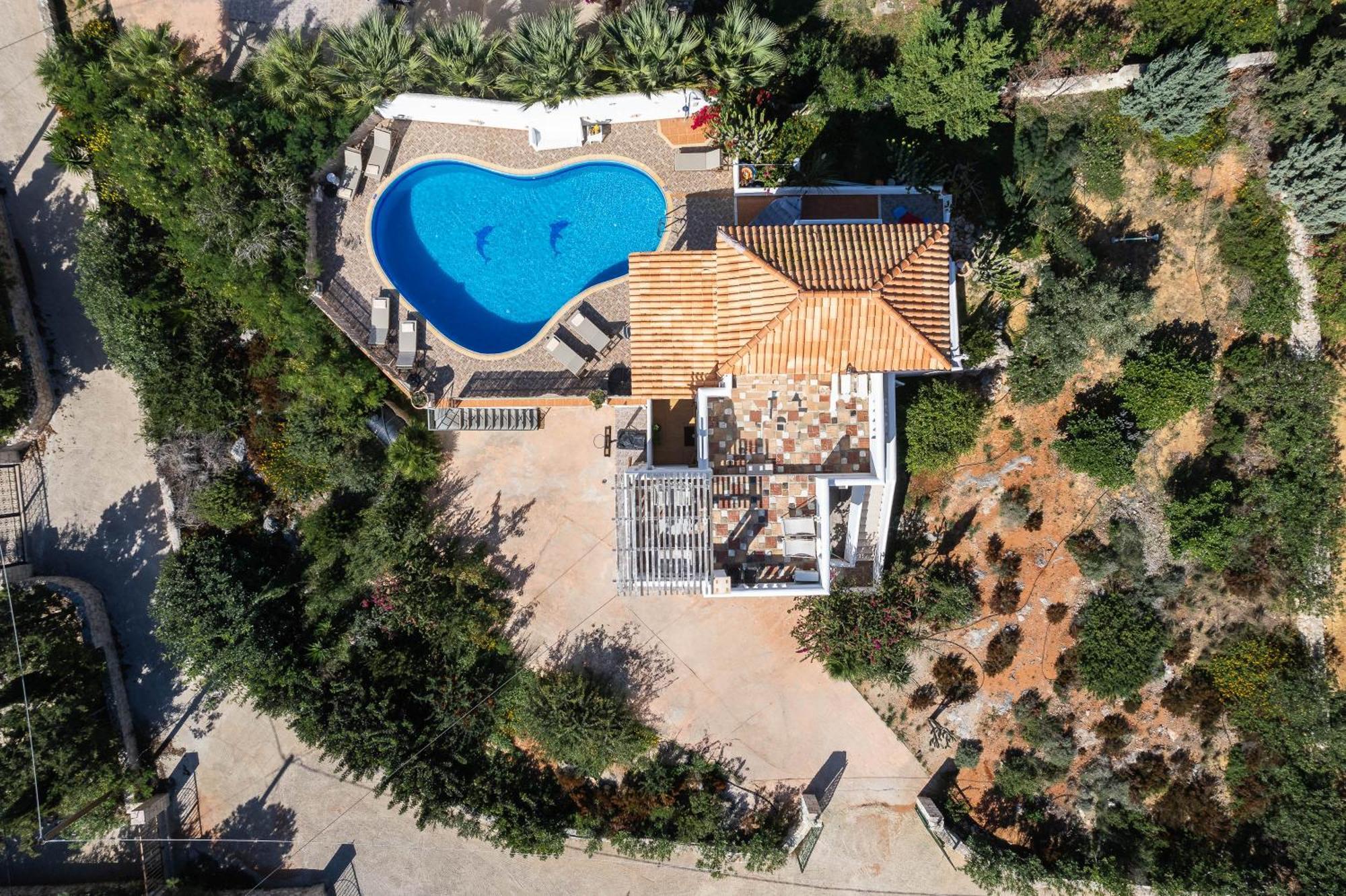 Villaer Aliki *